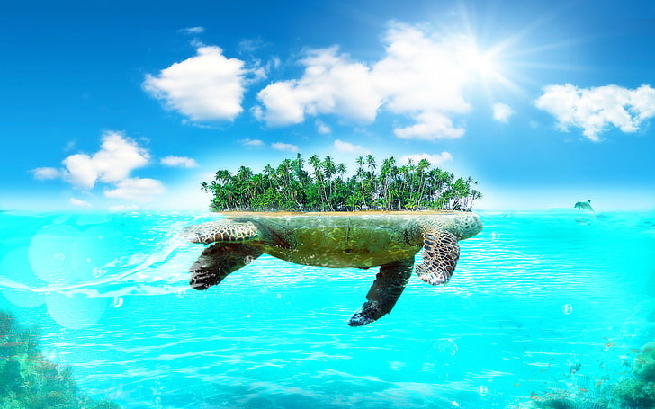 Kaplumbağa Adası, kahverengi ve yeşil kaplumbağa adası illüstrasyon, Sanat ve Yaratıcı, yaratıcı, kaplumbağa, okyanus, ada, HD masaüstü duvar kağıdı