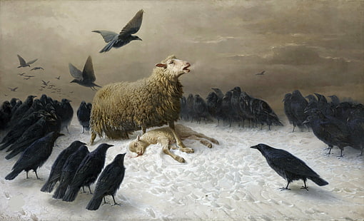 muerte, cuervos, ovejas, 