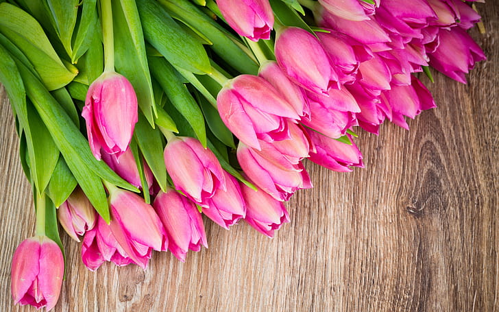 Bukiet kwiatów, różowe tulipany, deska drewniana, bukiet, kwiaty, różowe, tulipany, drewno, deska, Tapety HD