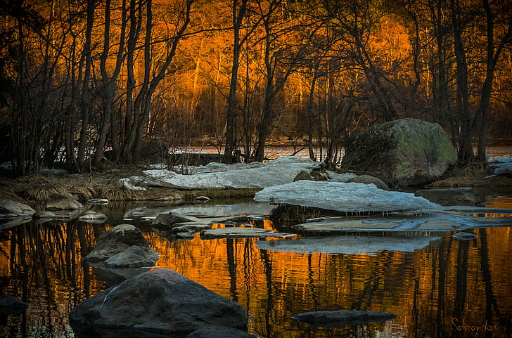 body of water near trees during dusk, Sunset, Langinkoski, body of water, trees, dusk, nikon  d600, nikkor, kotka, orange, reflections, ice, Wonders, Nature, autumn, tree, landscape, forest, yellow, outdoors, scenics, HD wallpaper