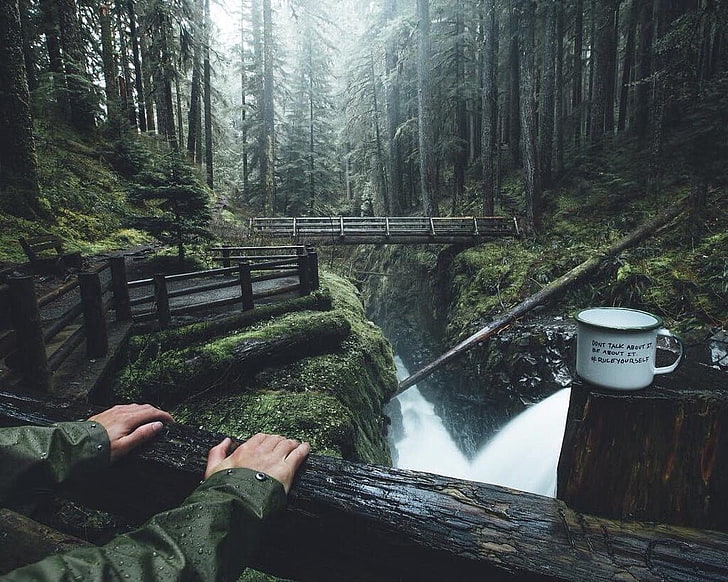 white mug on log, forest, trees, landscape, HD wallpaper
