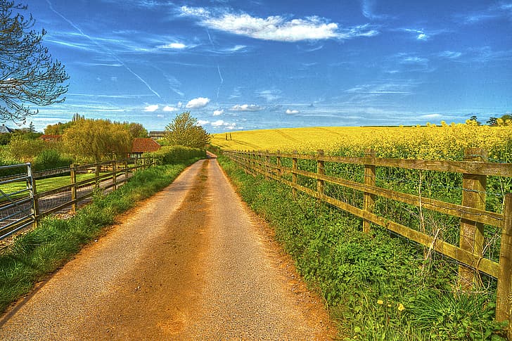 road, field, the sky, grass, clouds, the fence, home, flowering, rare, HD wallpaper