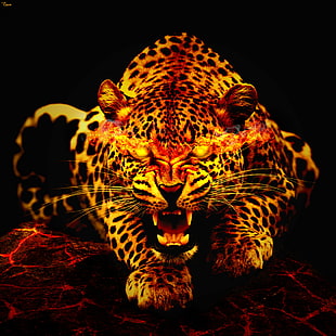 leopard photo, leopard, photo, artwork, photoshop, cs6, manipulation, photomanipulation, digital art, graphic design, fire art, fire  flame, smoke  cat, animal, wildlife, africa, mammal, carnivore, safari Animals, danger, nature, undomesticated Cat, HD wallpaper HD wallpaper