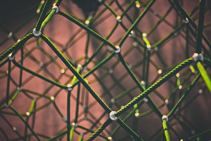 Nahaufnahmefotografie des grünen Netzes, Masche, Filetarbeit, Form, HD-Hintergrundbild