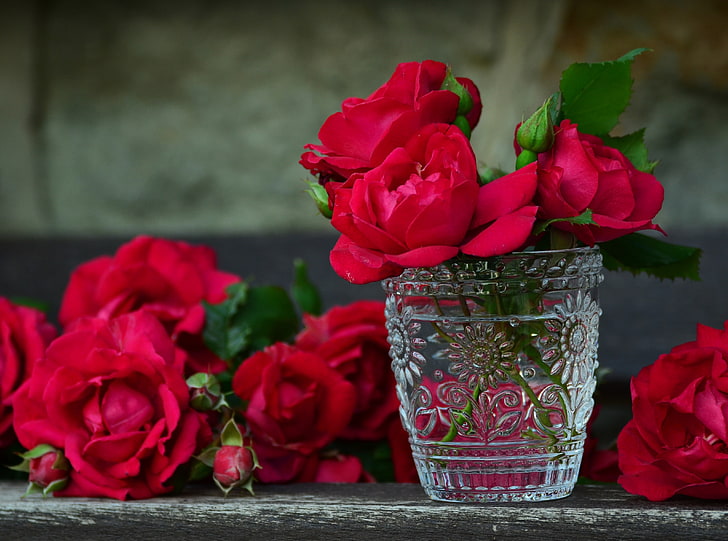 Fresh Red Roses in a Vase, red flowers, Holidays, Valentine's Day, Love, Roses, Garden, Flowers, Glass, Romantic, Beauty, Fragrance, thankyou, greetingcard, redroses, rosebloom, bouquetofroses, rosedream, HD wallpaper