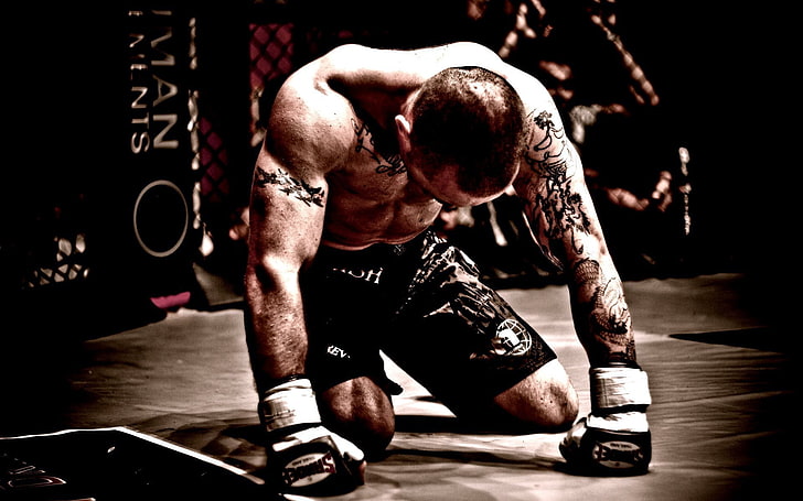 foto de boxer chute, artes marciais mistas, lutador, tatuagens, HD papel de parede