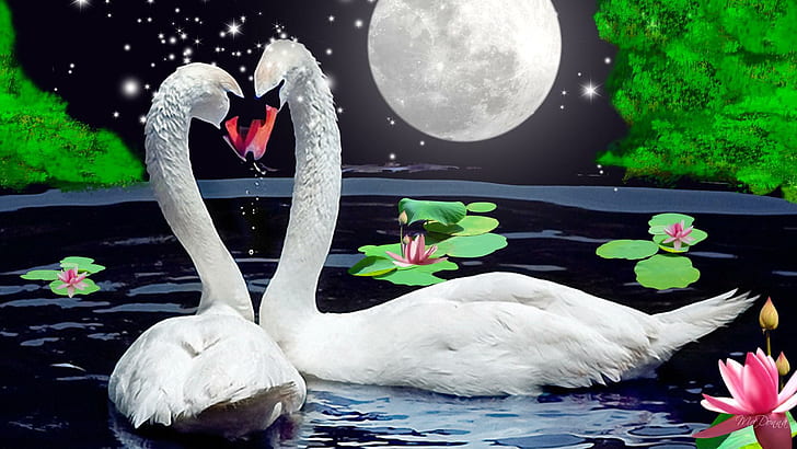 Love Under The Stars, firefox persona, swans, pair, full moon, stars, pond, trees, water lilies, love, couple, animals, HD wallpaper