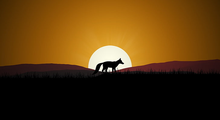 Fox Sunset, silhueta de lobo durante o papel de parede digital hora de ouro, Aero, arte vetorial, grama, grasssun, raposa, pôr do sol, HD papel de parede