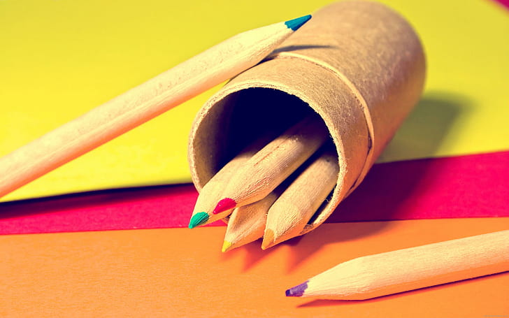 School supplies, brown colored pencils, school, pen, color, diverse, HD wallpaper