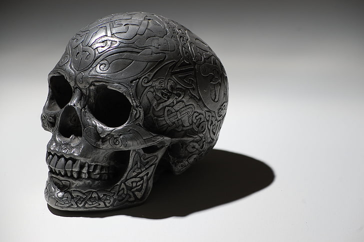 crâne squelette gris, motif, crâne, saké, Fond d'écran HD