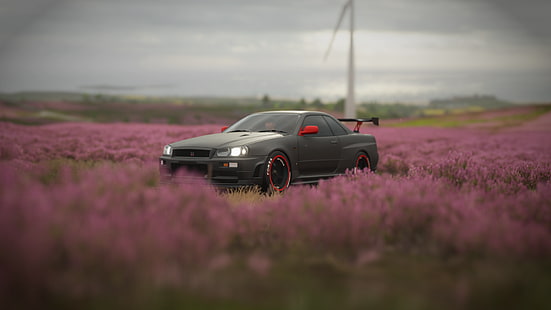 Nissan GTR R34, Nismo, Forza Horizon 4, Auto, HD-Hintergrundbild HD wallpaper