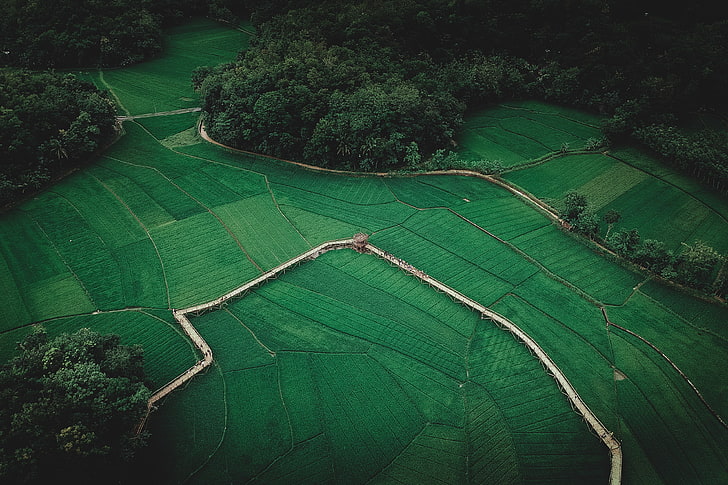 foto udara dari tanah rumput, lanskap, pemandangan udara, pertanian, pohon, lapangan, rumput, hutan, alam, pemandangan jauh, Wallpaper HD