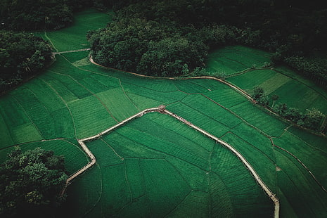 foto aérea de grama, paisagem, vista aérea, fazenda, árvores, campo, grama, floresta, natureza, vista distante, HD papel de parede HD wallpaper