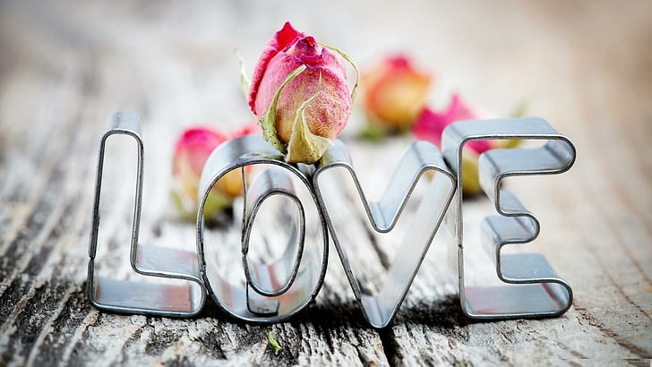 love, romance, rose, romantic, HD wallpaper