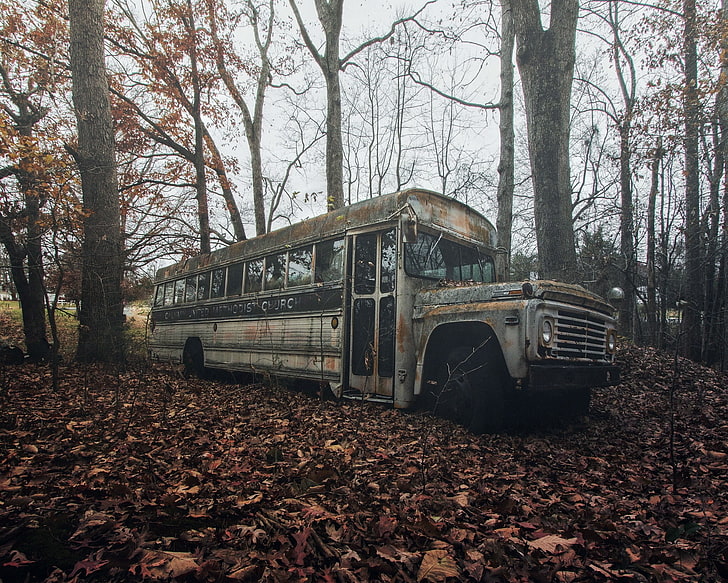 buses, abandoned, wreck, vehicle, HD wallpaper
