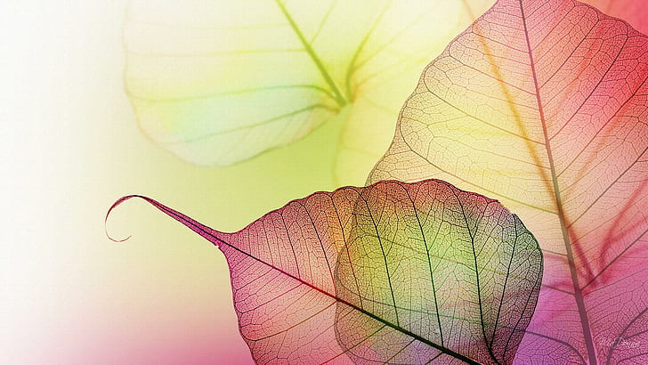 Прозрачни листа, илюстрация със сухи листа, персонаж на firefox, жълто, листа, листа, зелено, прозрачно, есен, 3d и абстрактно, HD тапет