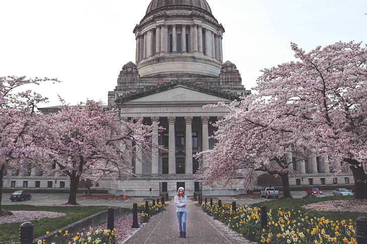 america, architecture, bloom, blossom, building, capital, capitol, congress, dome, history, lady, landmark, monument, spring, state, symbol, tree, united, usa, washington, woman, young, HD wallpaper