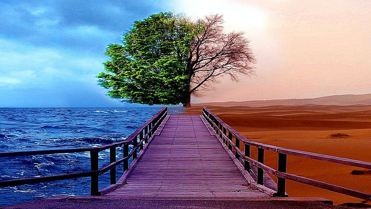 nature, sky, horizon, tree, water, desert, sea, shore, calm, lonely tree, pier, cloud, HD wallpaper