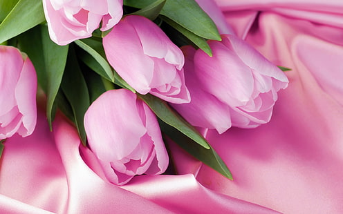 Różowy tulipan makro, różowa satyna, różowy, tulipan, makro, satyna, Tapety HD HD wallpaper