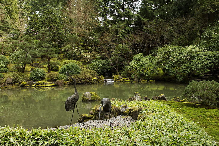 greens, trees, pond, stones, moss, garden, USA, the bushes, Oregon, Portland, Japanese Gardens, HD wallpaper