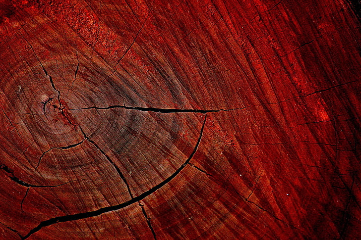 losa de madera marrón, losa de madera marrón, madera, textura, macro, naturaleza, árboles, rojo, Fondo de pantalla HD