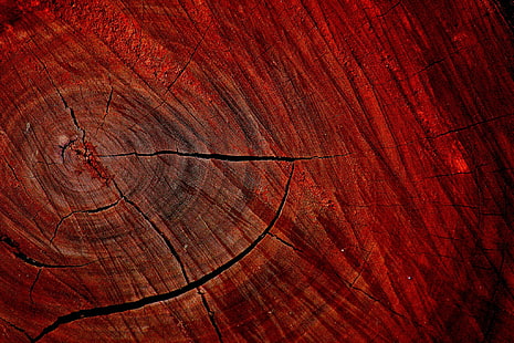laje de madeira marrom, laje de madeira marrom, madeira, natureza, textura, macro, árvores, vermelho, HD papel de parede HD wallpaper