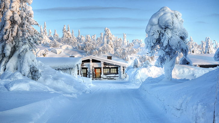 House Cabin Snow Trees Winter HD, black wooden window frame, nature, trees, snow, winter, house, cabin, HD wallpaper