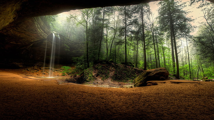 green trees, Ohio, cave, forest, HD wallpaper