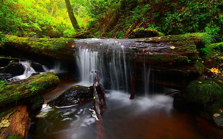 Forest River Timber Waterfall Background Free, wodospady, tło, las, rzeka, drewno, wodospad, Tapety HD