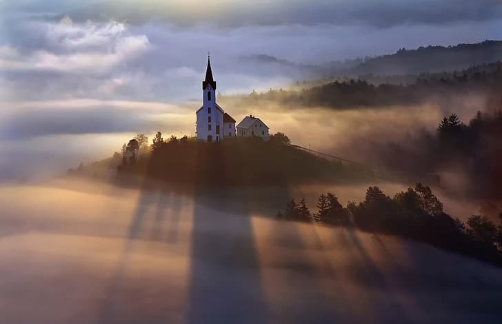 forest, light, fog, morning, Church, HD wallpaper