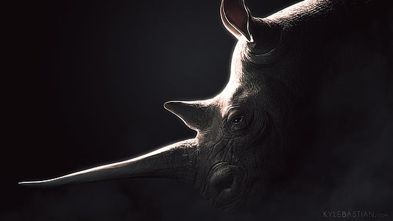 وحيد القرن الرمادي ووحيد القرن، خلفية HD HD wallpaper