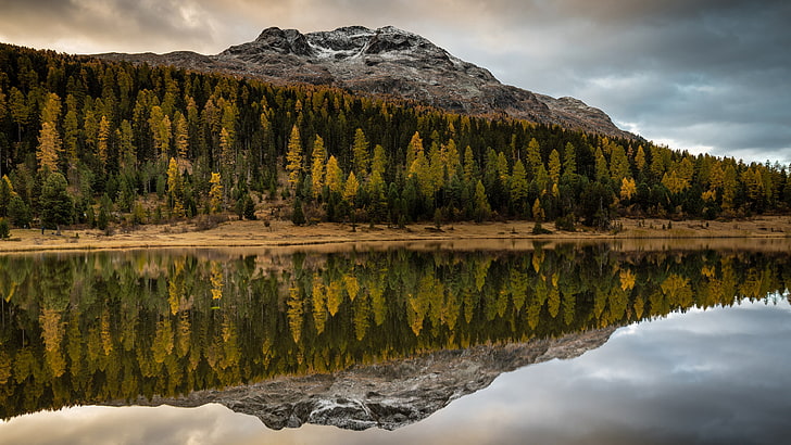 colori autunnali, autunno, riflesso, foresta, lago, montagna, paesaggio, bosco di conifere, Sfondo HD