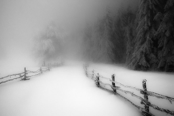 wooden fence, landscape, nature, winter, morning, snow, forest, fence, cold, monochrome, road, path, trees, daylight, mist, HD wallpaper