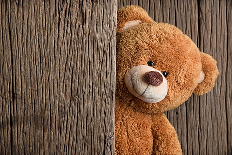 peluche orso bruno, giocattolo, orso, legno, orsacchiotto, carino, Sfondo HD HD wallpaper