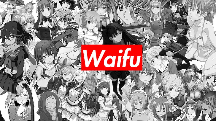 waifu2x, No waifu, no laifu, anime, anime girls, monochromatyczny, Tapety HD
