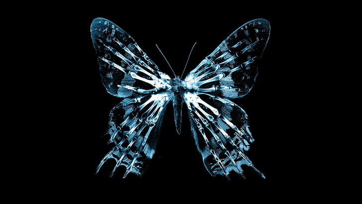 Бахрома (сериал), бабочки, черный, черный фон, голубой, простой, бабочка, кости, HD обои