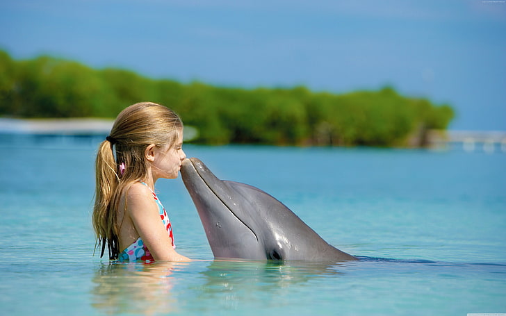 Girl and dolphin, ocean, Maldives, HD wallpaper