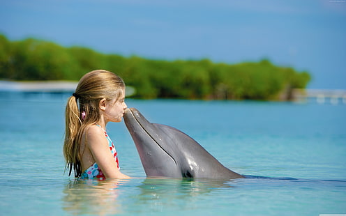 Девочка и дельфин, океан, Мальдивы, HD обои HD wallpaper