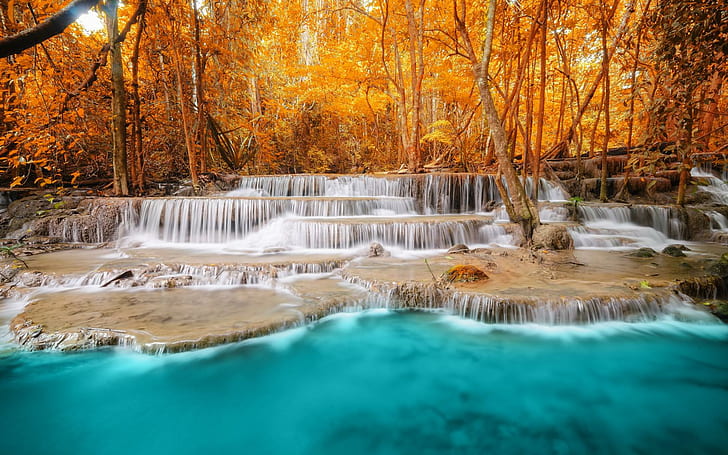秋の森の木川の滝、自然、風景、滝、森、秋、青い水、川、 HDデスクトップの壁紙