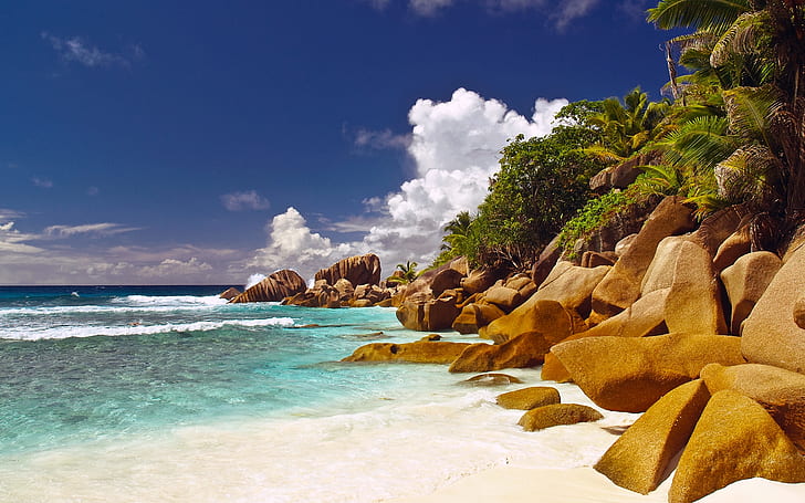 Seszele Islands Corner, skały, palmy, plaża, ocean, morze, woda, niebo, chmury, Tapety HD