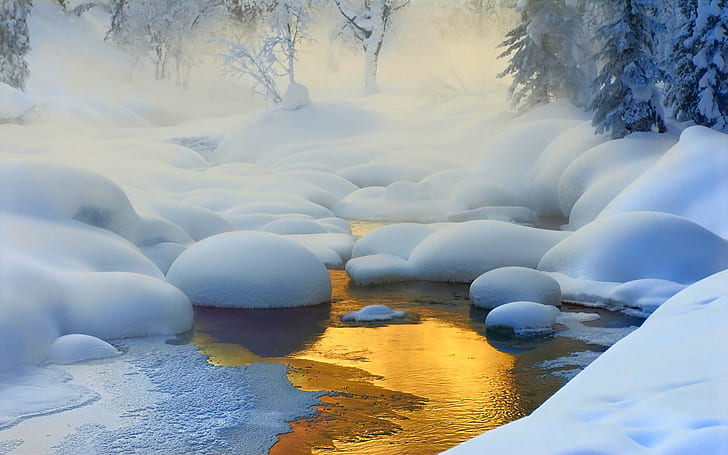 nature, landscape, creeks, forest, snow, frost, mist, cold, trees, Siberia, Russia, gold, yellow, ice, HD wallpaper