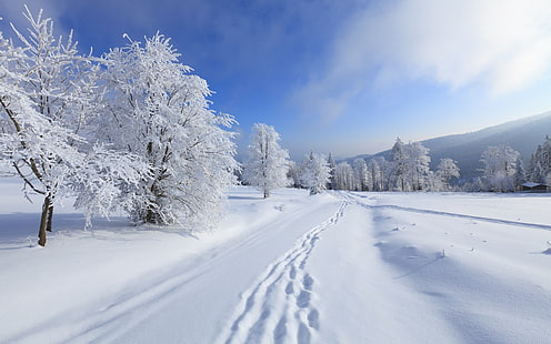 Śnieżne kroki, biały śnieg, śnieżny krajobraz, tło, Tapety HD HD wallpaper