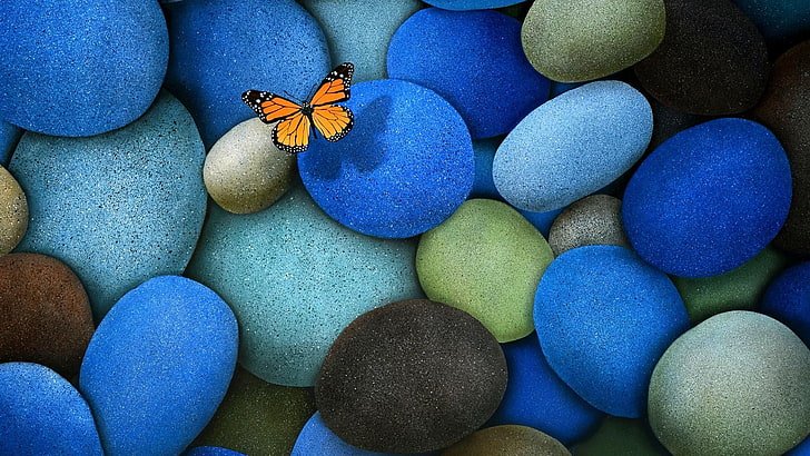 farfalla, pietre, Sfondo HD