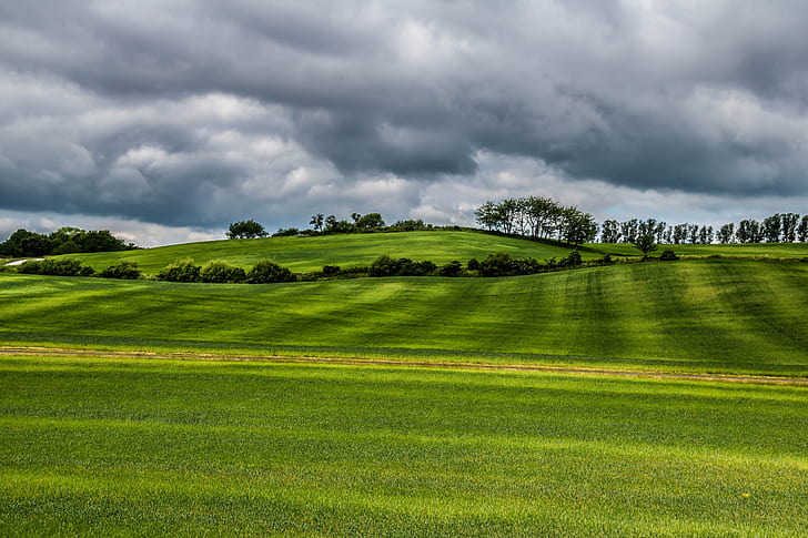 landscape photo of green field under cloudy sky, Dark clouds, green fields, landscape, photo, green field, sky, countryside, landskap, moln, Österlen, exif, model, canon eos, 760d, aperture, ƒ / 9, camera, iso_speed, focal_length, mm, geo:location, lens, ef, s18, f/3.5, nature, rural Scene, hill, agriculture, field, green Color, scenics, farm, tree, outdoors, landscaped, summer, land, meadow, HD wallpaper