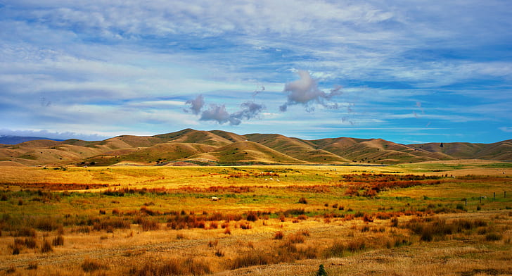 brown mountain near green trees under white and blue sky, canterbury, canterbury, Canterbury, brown mountain, green, trees, com, Daily, Horizontal, Colour, Color, Day, Daytime, Outside, Outdoors, Outdoor, HDR Photography, RR, Canterbury  New Zealand, New Zealand  South Island, Canterbury Plains, Country, Farming, Mountain, Field, Grass, Sky, Clouds, White, Black, Tekapo, Tussock, Colourful, Sony  ILCE-7R, nature, landscape, scenics, cloud - Sky, hill, HD wallpaper