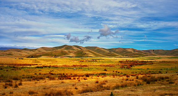 brown mountain near green trees under white and blue sky, canterbury, canterbury, Canterbury, brown mountain, green, trees, com, Daily, Horizontal, Colour, Color, Day, Daytime, Outside, Outdoors, Outdoor, HDR Photography, RR, Canterbury  New Zealand, New Zealand  South Island, Canterbury Plains, Country, Farming, Mountain, Field, Grass, Sky, Clouds, White, Black, Tekapo, Tussock, Colourful, Sony  ILCE-7R, nature, landscape, scenics, cloud - Sky, hill, HD wallpaper HD wallpaper