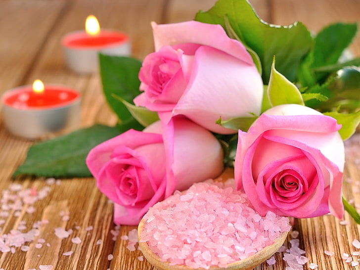 three pink roses, rose, salt, candles, blurring, HD wallpaper