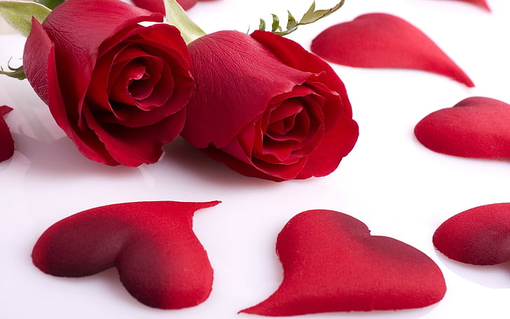 two red roses, roses, flowers, couple, heart, romance, HD wallpaper