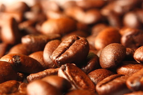 coffee beans, Smell, coffee beans, wanderer, eye, xsi, canon 450D, lens, reversal, SLR, EOS, DSLR, india, TPA, Coffee, abstract, arabica, aroma, aromatic, backdrop, background, bean, beans, caffeine, cappuccino, close-up, color, colour, dark, delicious, detail, dof, dried, drink, espresso, food, fresh, grain, grind, group, ingredient, java, luxury, macro, mocha, natural, organic, roast, roasted, scattering, seed, shot, spill, studio, table, tasty, texture, textured, up, warm, brown, backgrounds, cafe, coffee - Drink, HD wallpaper HD wallpaper