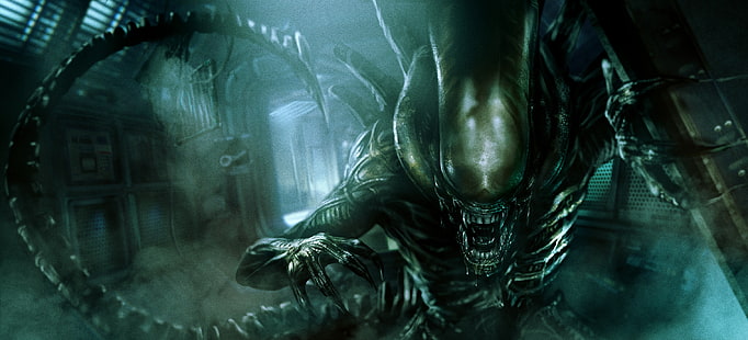 Alien, Xenomorph, Fondo de pantalla HD HD wallpaper